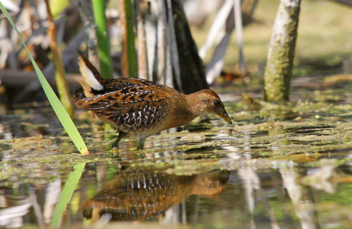 Interior British Columbia 2009