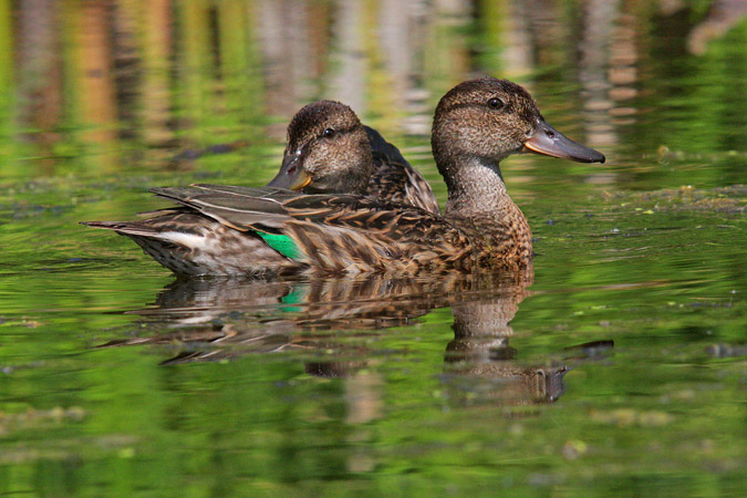 Interior British Columbia 2009