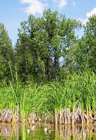 Interior British Columbia 2009