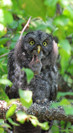 Interior British Columbia 2009