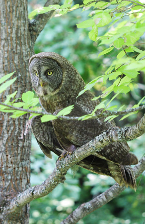 Interior British Columbia 2009