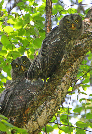 Interior British Columbia 2009